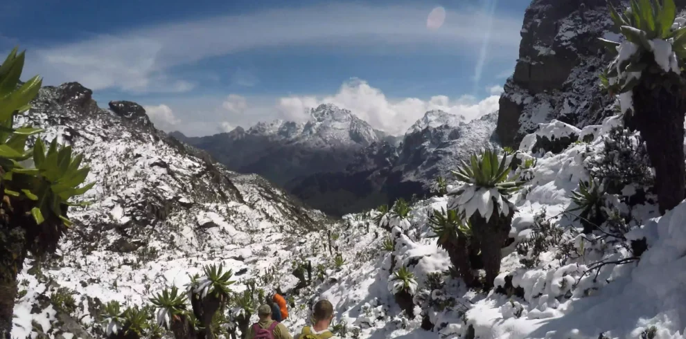 Rwenzori Mountains National Park: The Mountains of the Moon