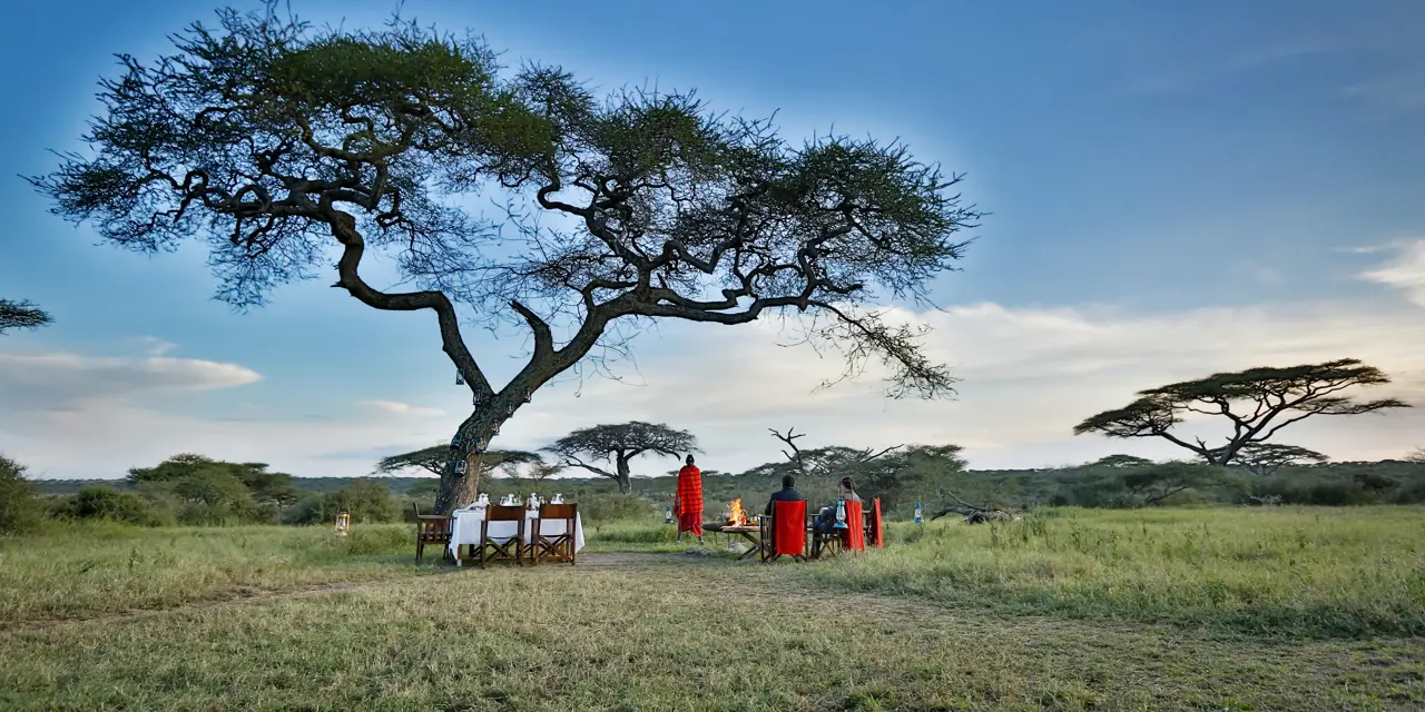 Tanzania vs kenya safari
