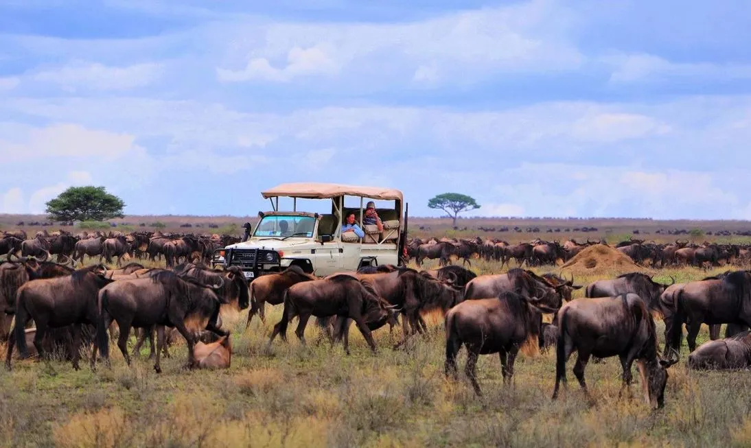 Tanzania vs kenya safari