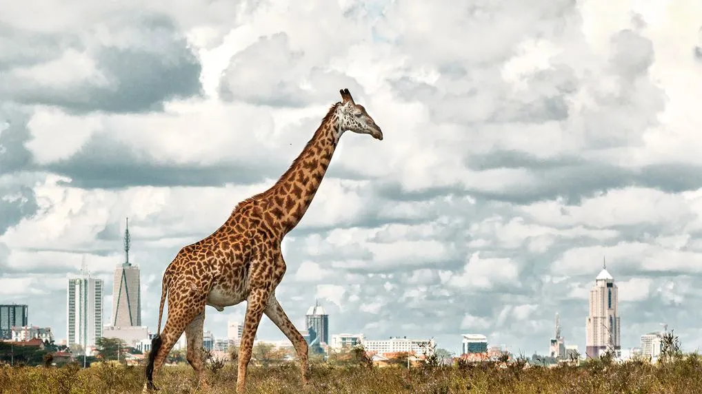 Best Places to visit in Kenya