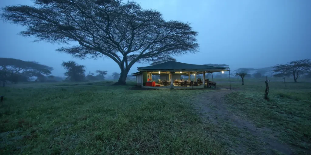 Best Time to visit Serengeti