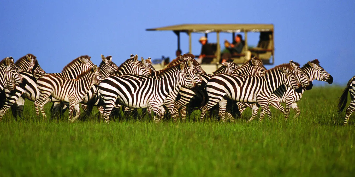 Best Time to visit Serengeti