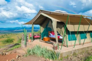Kidepo Lodge