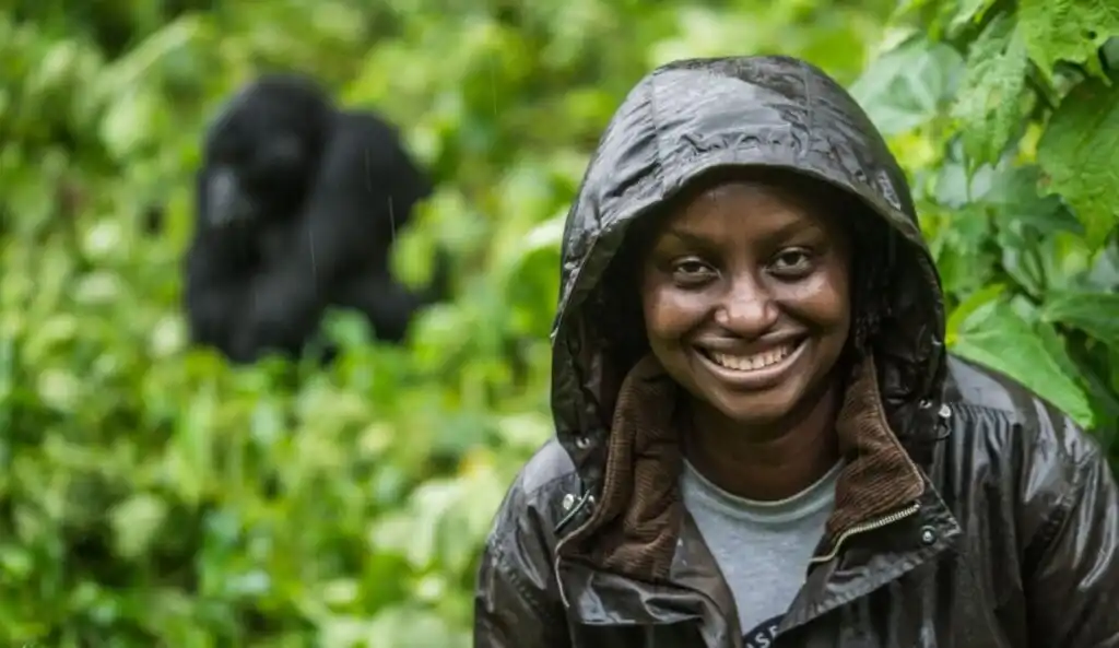 is gorilla trekking ethical (3)