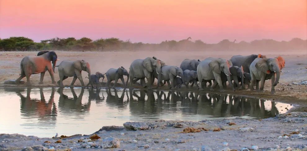 13 Days Best Of Namibia Safari Tour