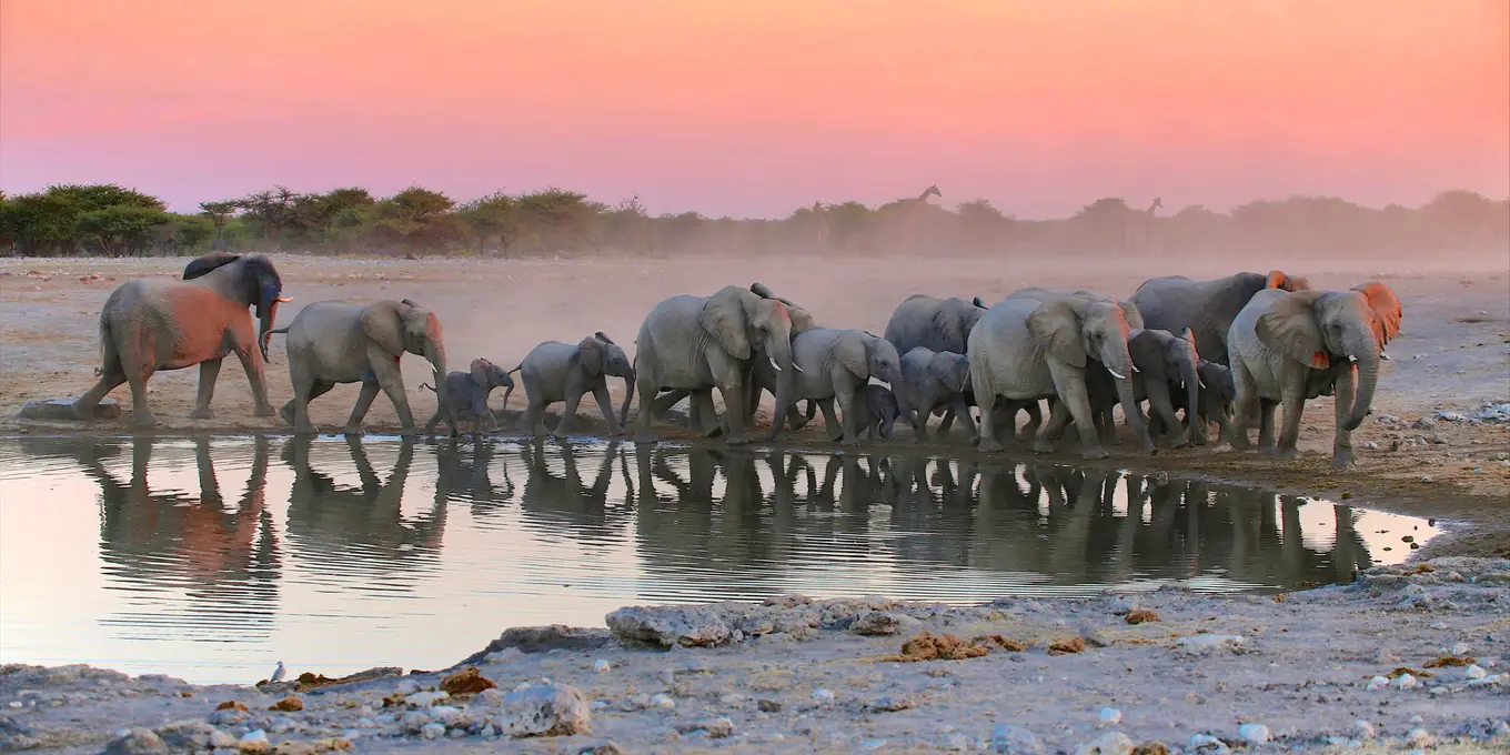 13 Days Best Of Namibia Safari Tour
