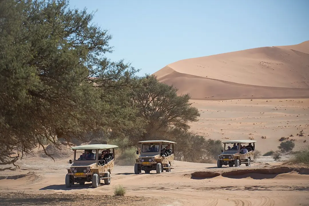 8-Day Classic Namibia Safari Tour