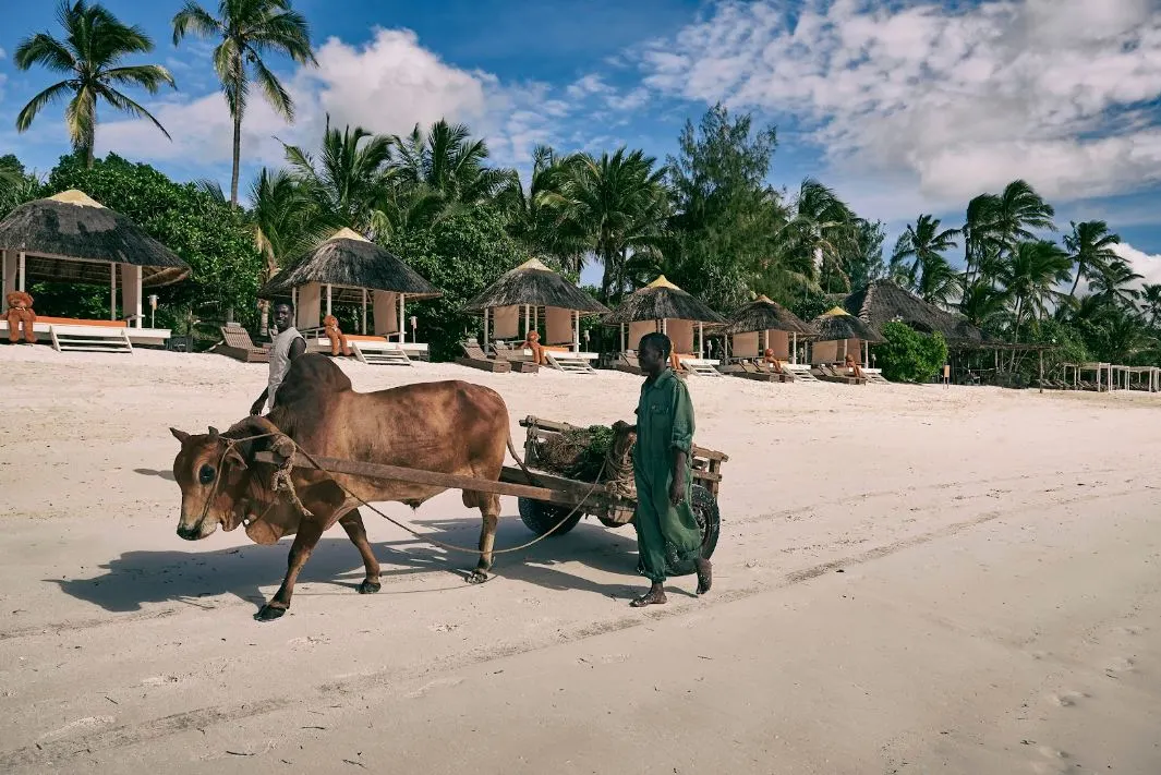 Best Beaches In Zanzibar