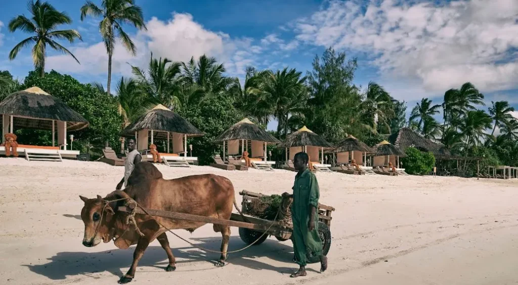 Best Beaches In Zanzibar