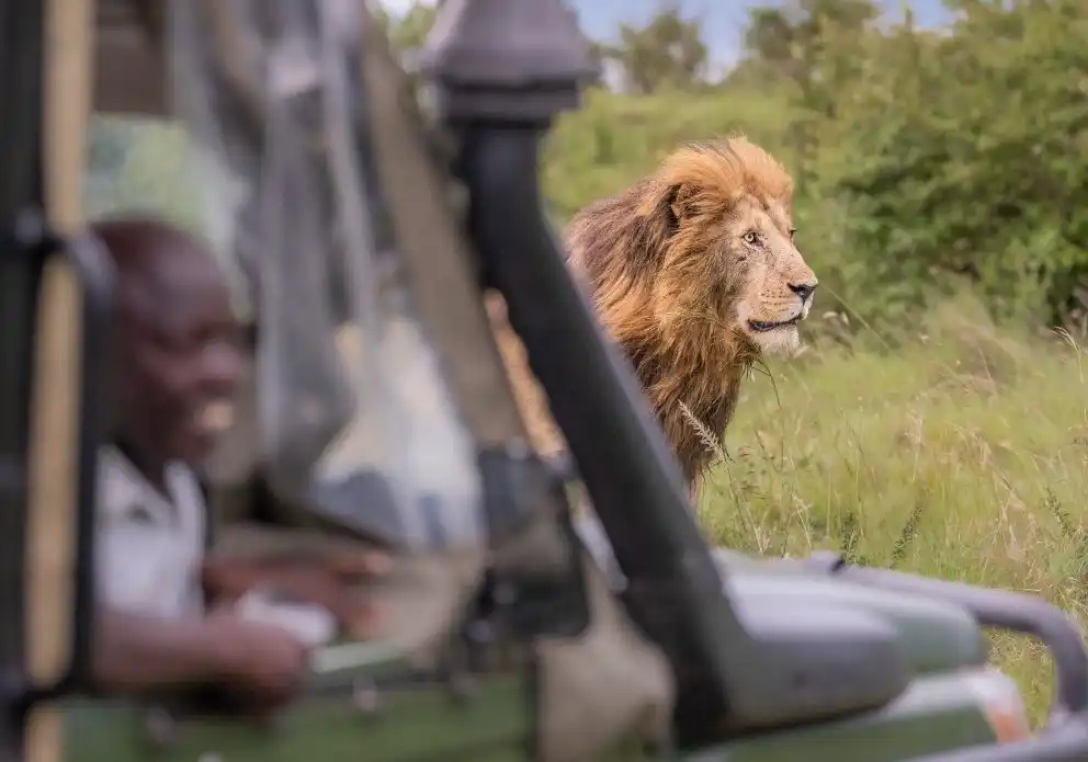 Kenya safaris tours
