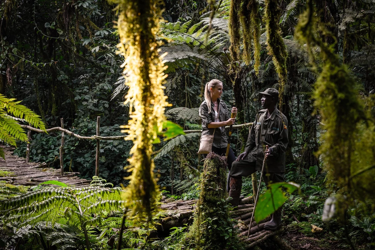 Bwindi Impenetrable National Park