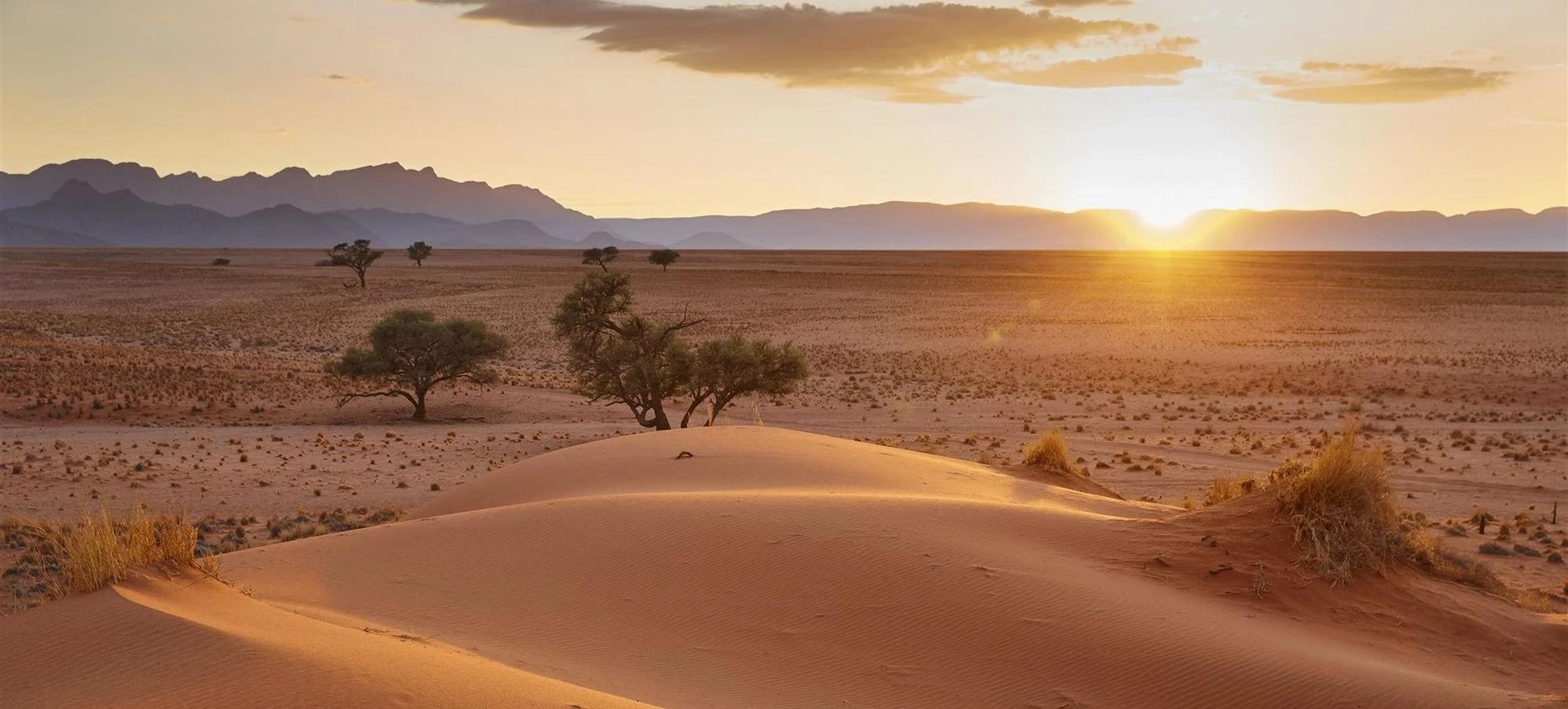 Africa Safaris And Holidays Best Namibia safaris, tours and Packages