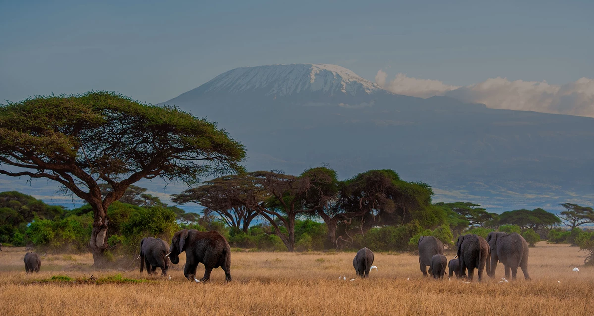 Best Tanzania safaris And Tours