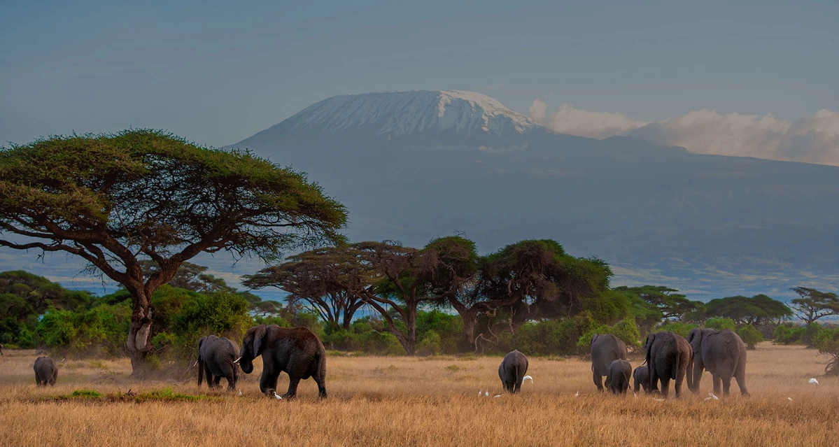Africa Safaris And Holidays Best Tanzania safaris And Tours