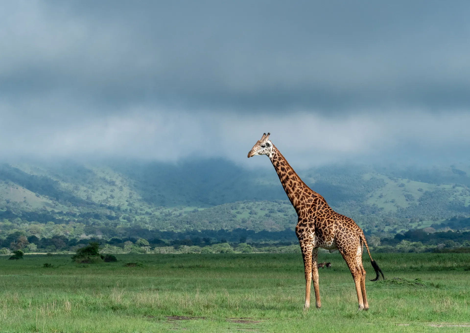 Rwanda National Parks