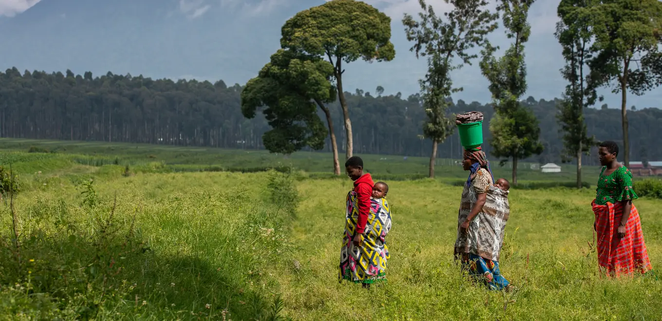 Rwanda Safaris