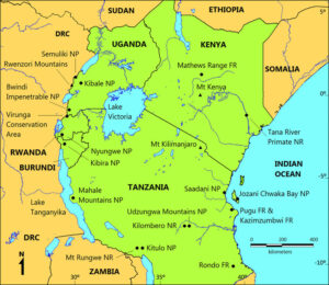 Visit East Africa