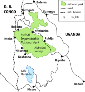 Where to See Mountain Gorillas in Africa